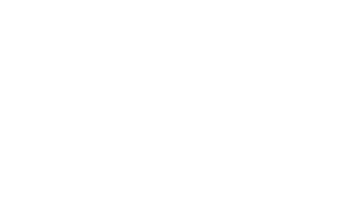 WordPress logo